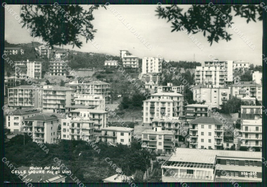 Savona Celle Ligure Foto FG cartolina ZK5859 – fronte
