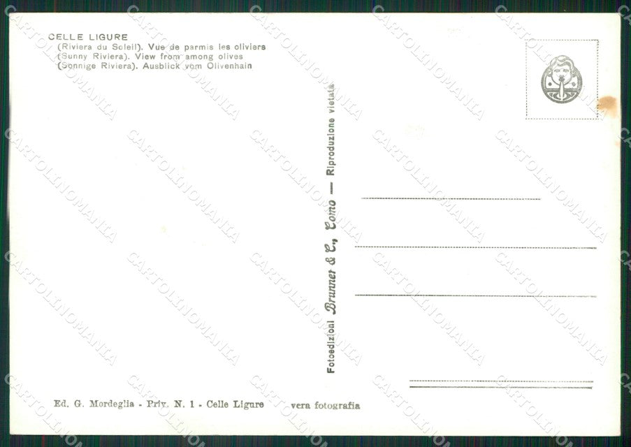 Savona Celle Ligure Foto FG cartolina ZK5859 – retro