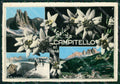 Trento Campitello Saluti da PIEGHINA Foto FG cartolina ZK5882 – fronte