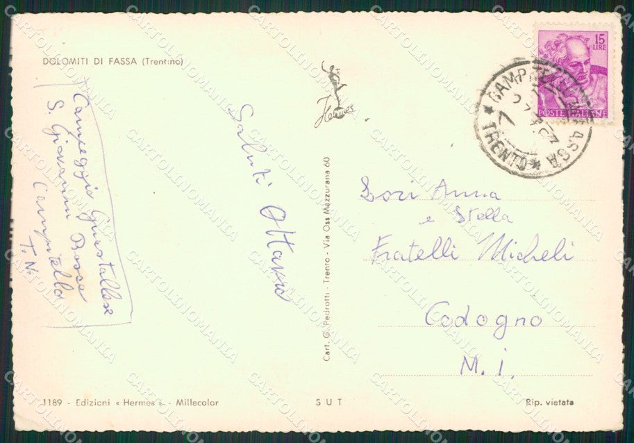 Trento Campitello Saluti da PIEGHINA Foto FG cartolina ZK5882 – retro