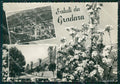 Pesaro Gradara Saluti da PIEGA Foto FG cartolina ZK5890 – fronte