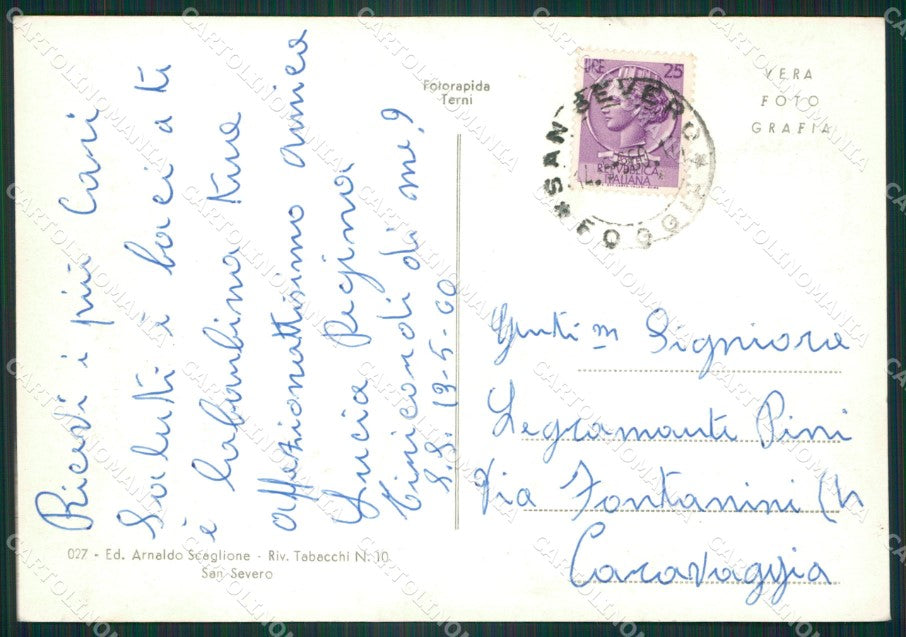 Foggia San Severo Saluti da Foto FG cartolina ZK5902 – retro
