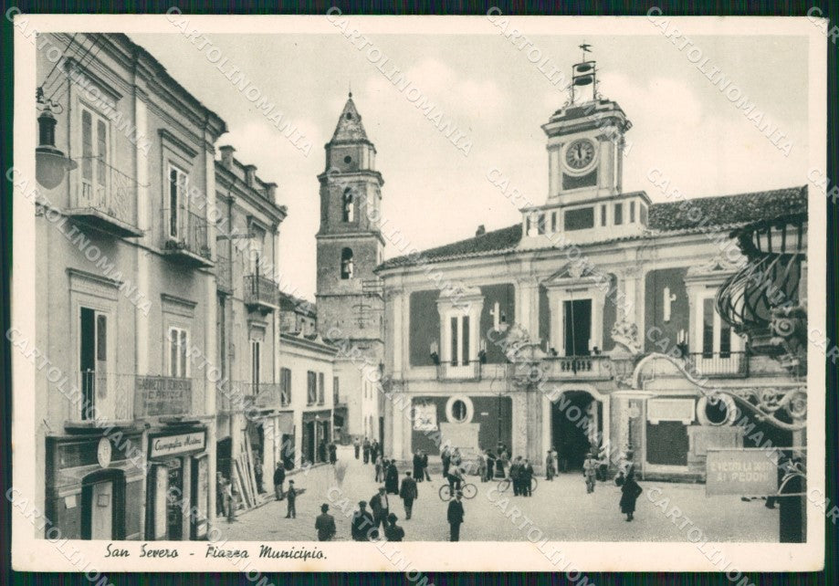 Foggia San Severo Municipio FG cartolina ZK5964 – fronte