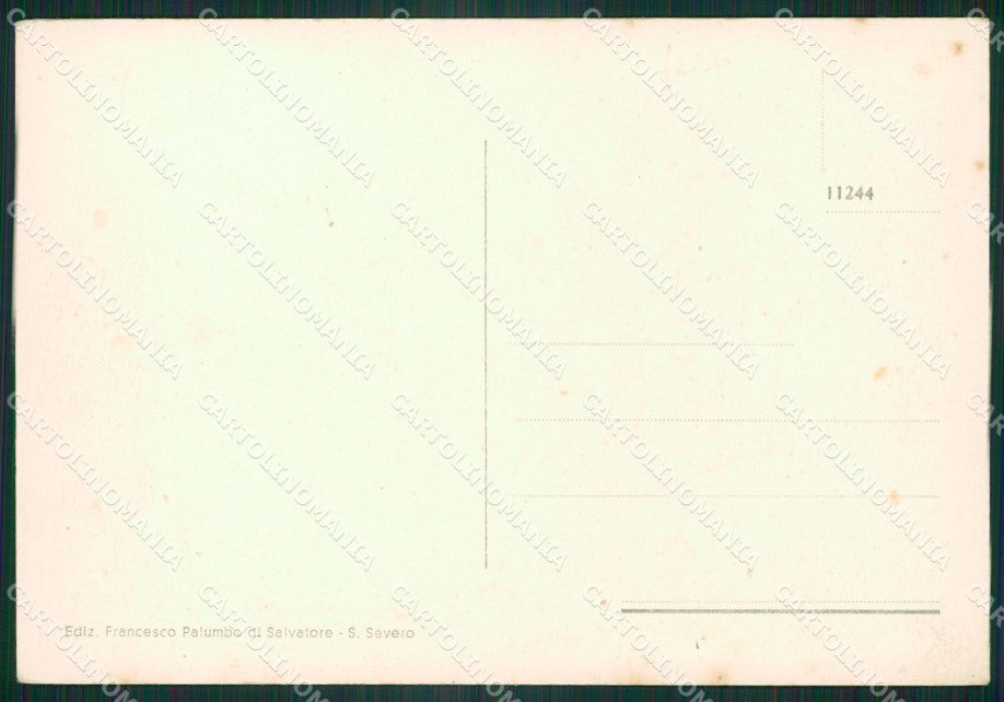 Foggia San Severo Municipio FG cartolina ZK5964 – retro