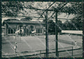 Pistoia Montecatini Terme Tennis FG cartolina ZK6003 – fronte