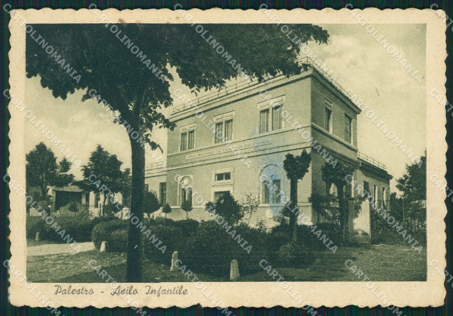 Pavia Palestro MACCHIA FG cartolina ZK6019 – fronte