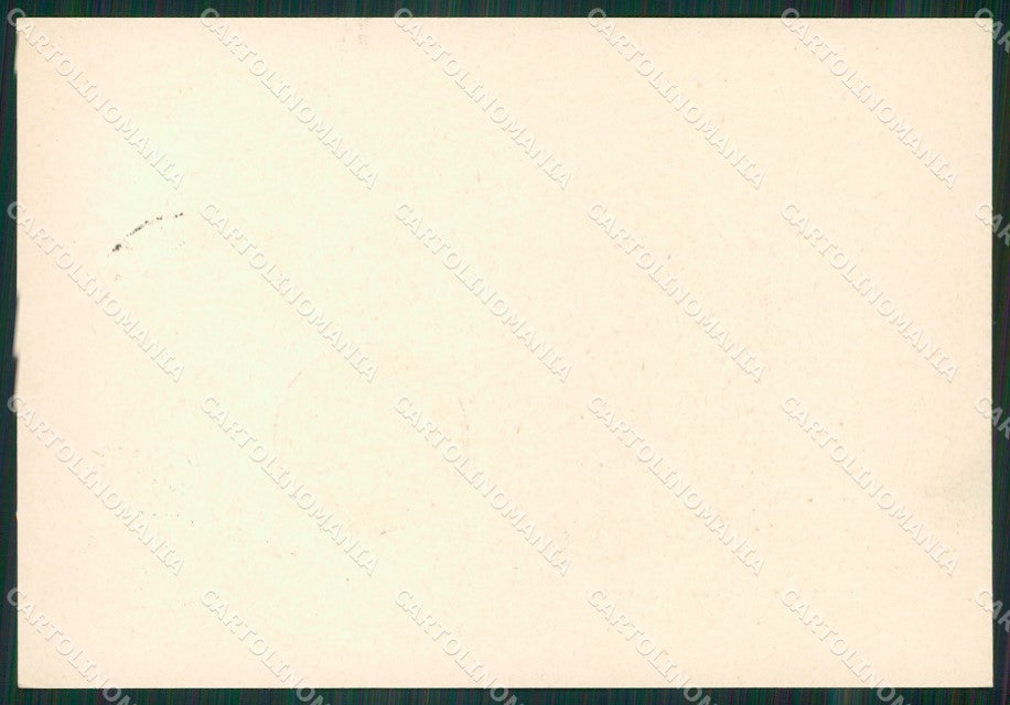 Verona Castelvecchio Esperanto FG cartolina ZK6041 – retro
