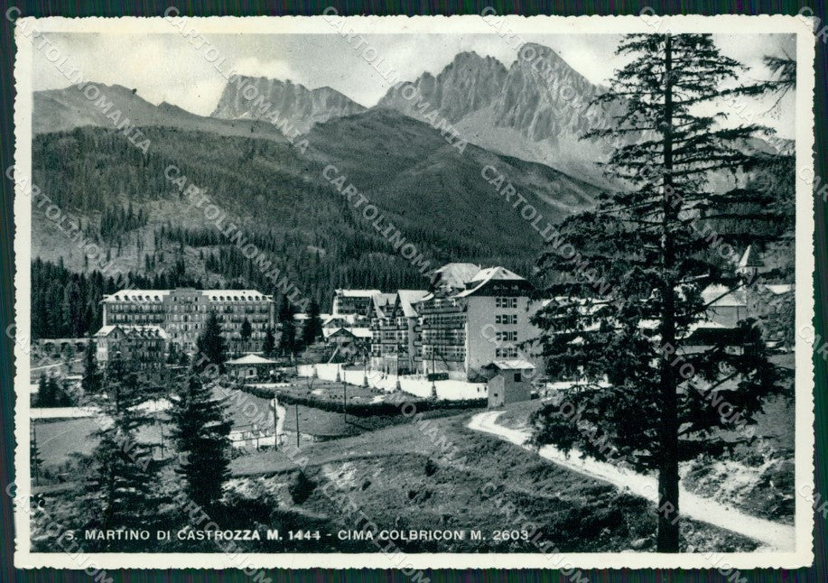 Trento Siror San Martino di Castrozza Foto FG cartolina ZK6060 – fronte