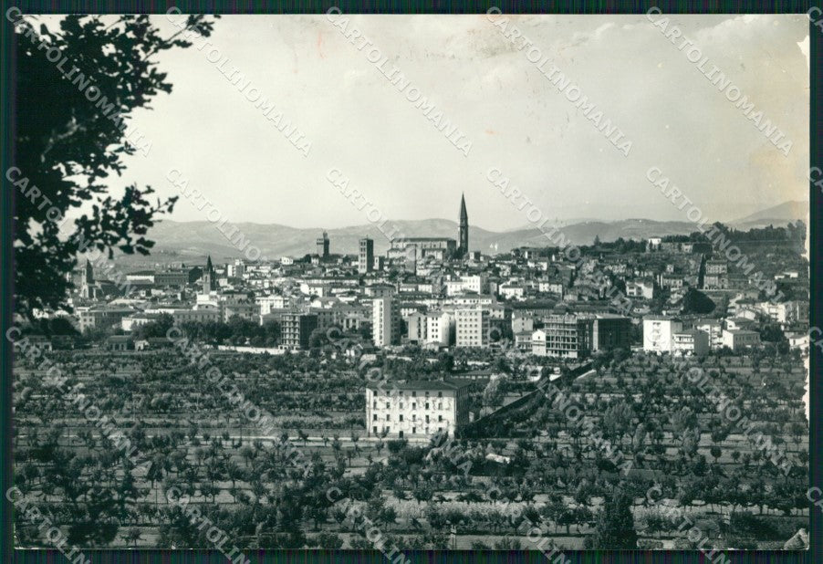 Arezzo Città ABRASA PIEGHINA Foto FG cartolina ZK6081 – fronte