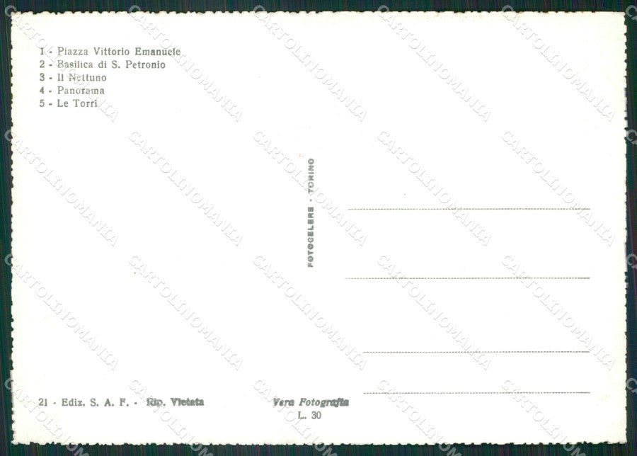 Bologna Città Foto FG cartolina ZK6104 – retro