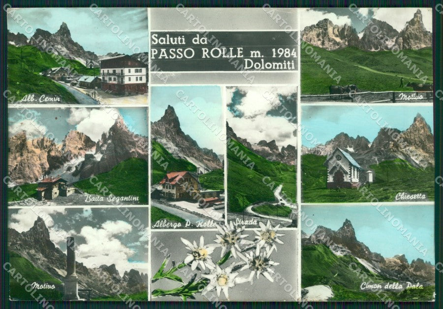 Trento Siror Passo Rolle Saluti da PIEGA Foto FG cartolina ZK6131 – fronte