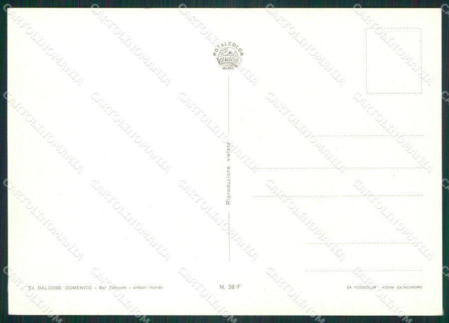 Trento Passo del Tonale Saluti da Sci Foto FG cartolina ZK6132 – retro
