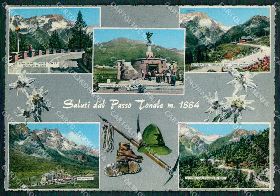 Trento Passo del Tonale Saluti da Foto FG cartolina ZK6133 – fronte