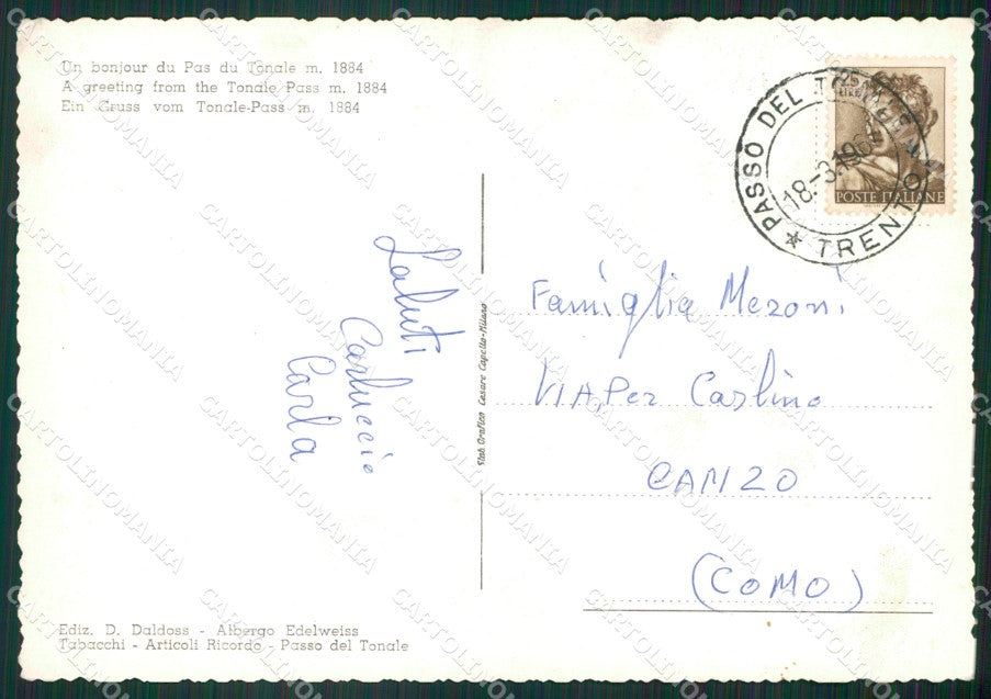 Trento Passo del Tonale Saluti da Foto FG cartolina ZK6133 – retro