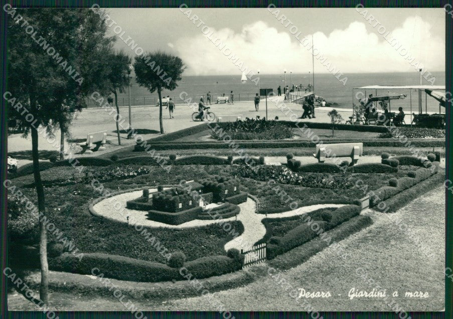 Pesaro Città Foto FG cartolina ZK6164 – fronte