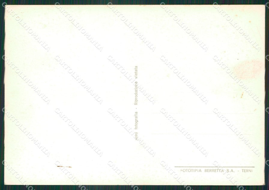 Roma Anzio Lido di Lavinio Foto FG cartolina ZK6184 – retro