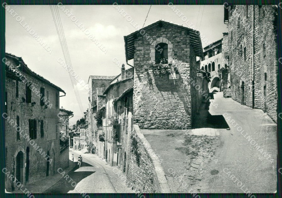 Perugia Assisi Foto FG cartolina ZK6196 – fronte
