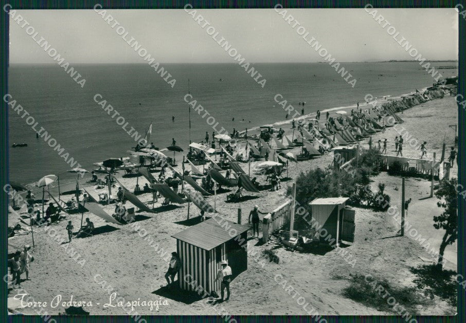 Rimini Torre Pedrera Foto FG cartolina ZK6215 – fronte