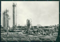 Piacenza Cortemaggiore STRAPPO Foto FG cartolina ZK6226 – fronte