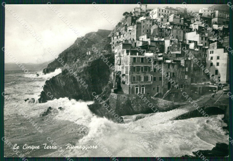 La Spezia Riomaggiore Foto FG cartolina ZK6349 – fronte