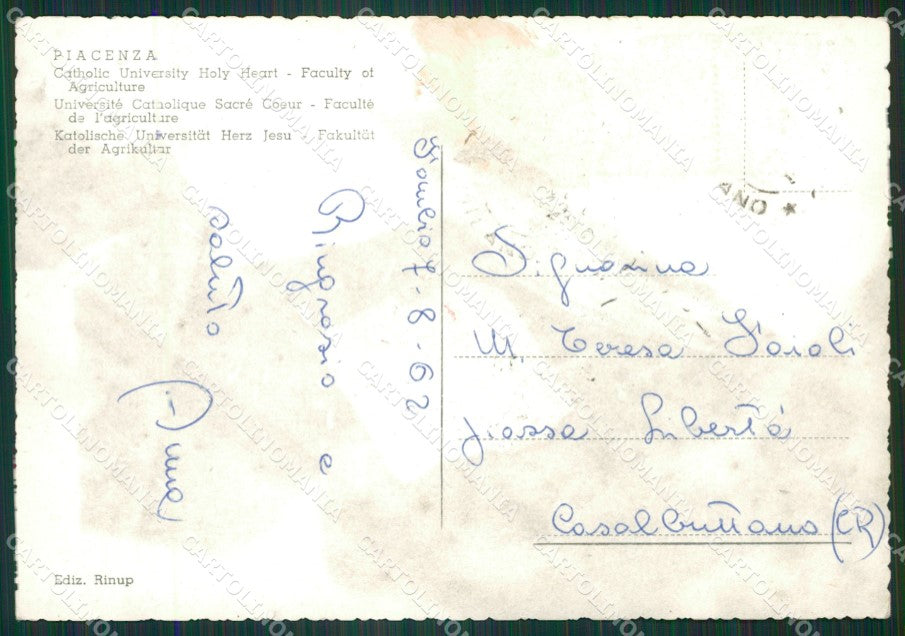 Piacenza Città Università Foto FG cartolina ZK6359 – retro
