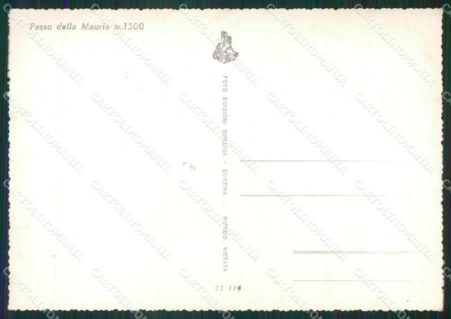 Belluno Lorenzago di Cadore Auto Foto FG cartolina ZK6372 – retro