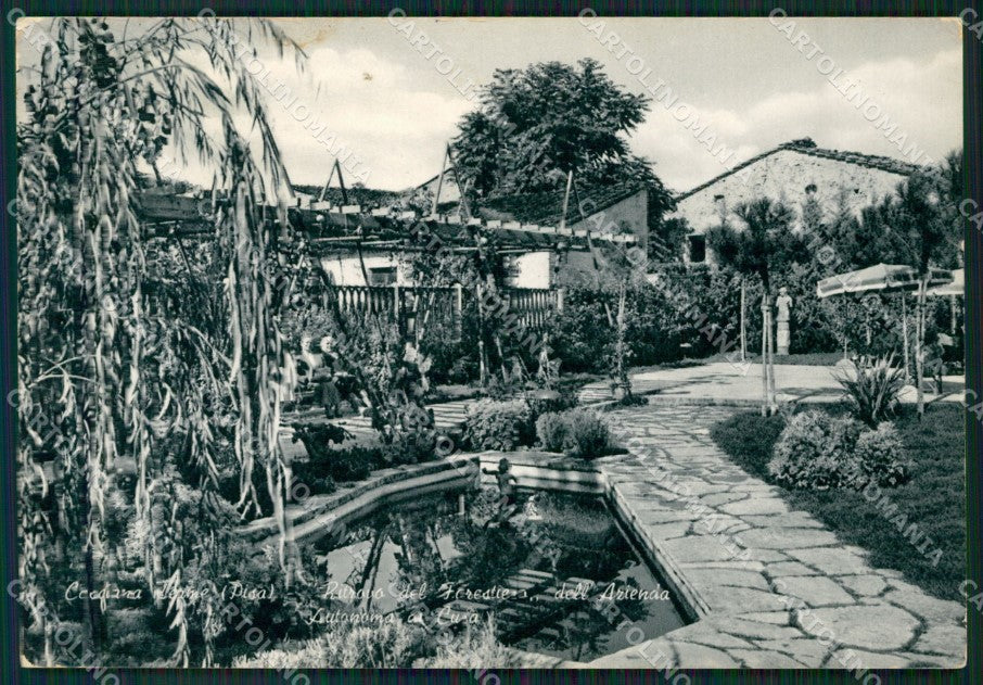 Pisa Casciana Terme Foto FG cartolina ZK6389 – fronte