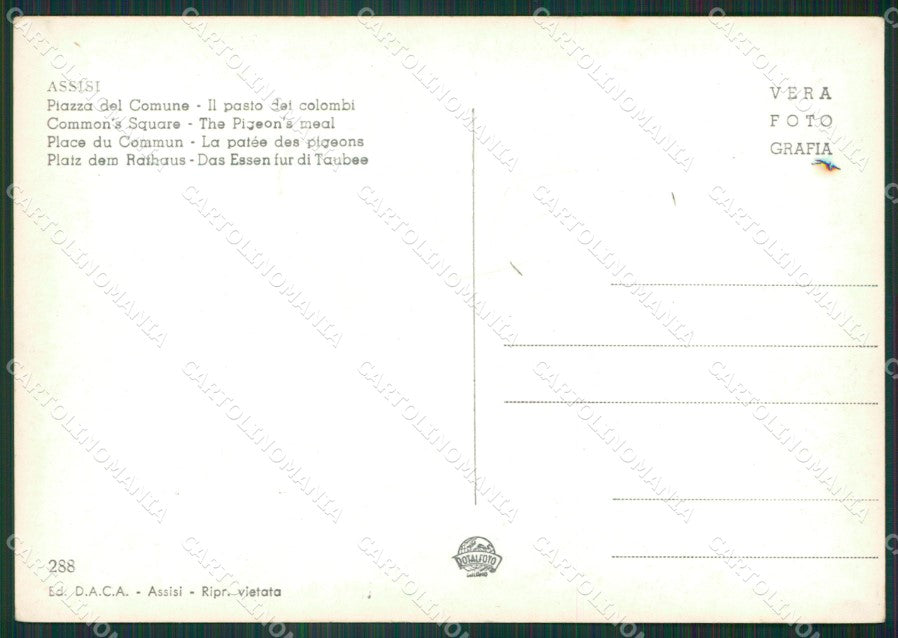 Perugia Assisi Foto FG cartolina ZK6405 – retro