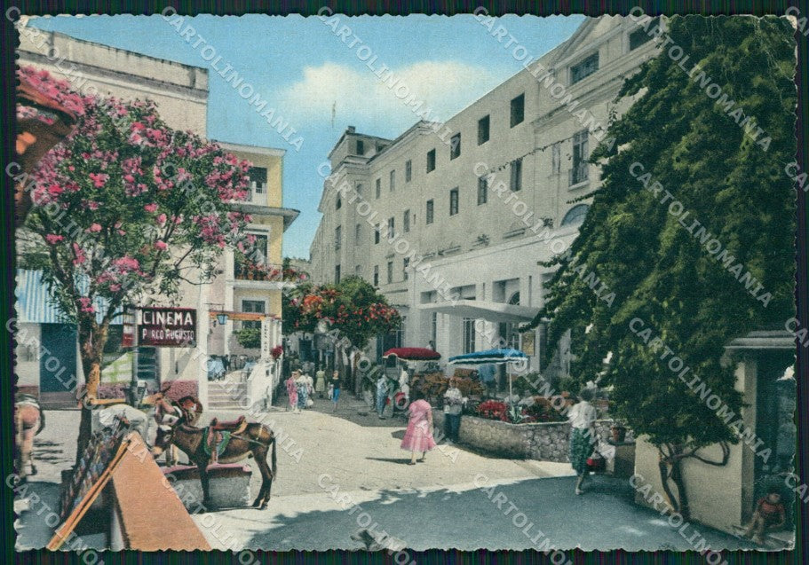 Napoli Capri Asino PIEGHINA STRAPPINO FG cartolina ZK6430 – fronte