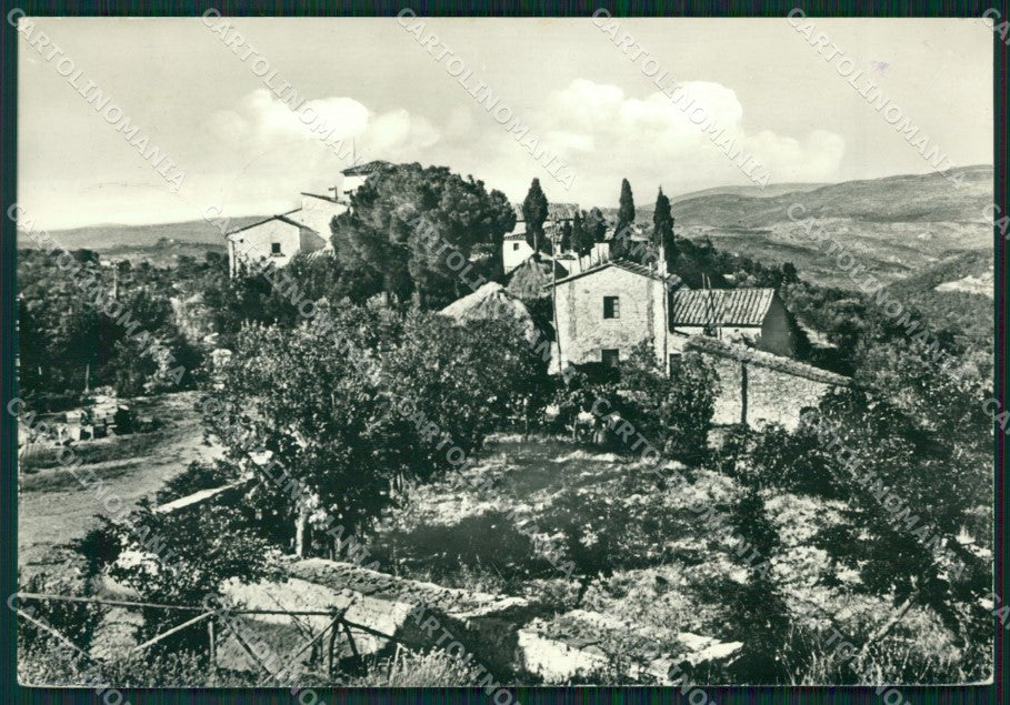 Siena Castellina in Chianti PIEGHINE Foto FG cartolina ZK6454 – fronte
