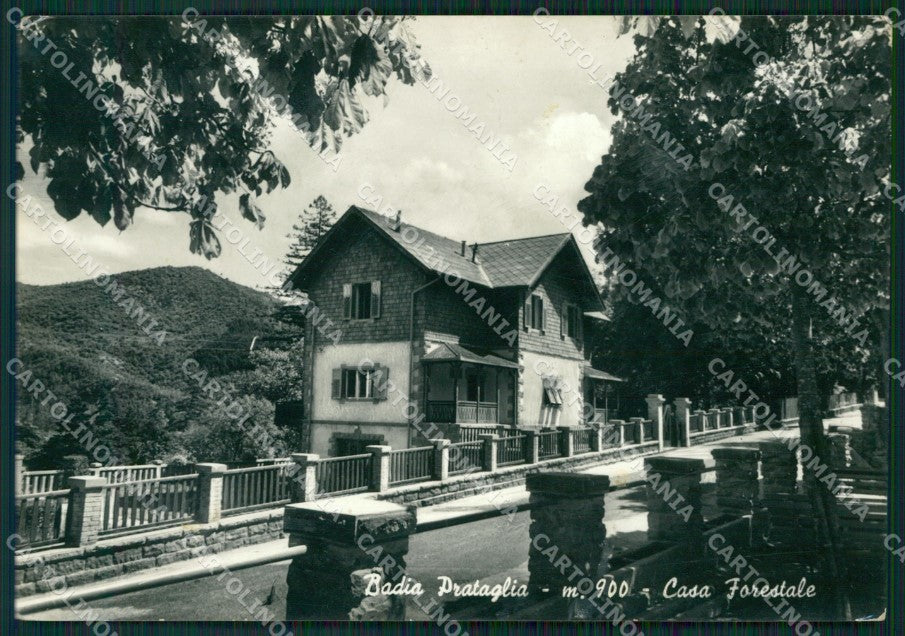 Arezzo Poppi Badia Prataglia Forestale Foto FG cartolina ZK6465 – fronte