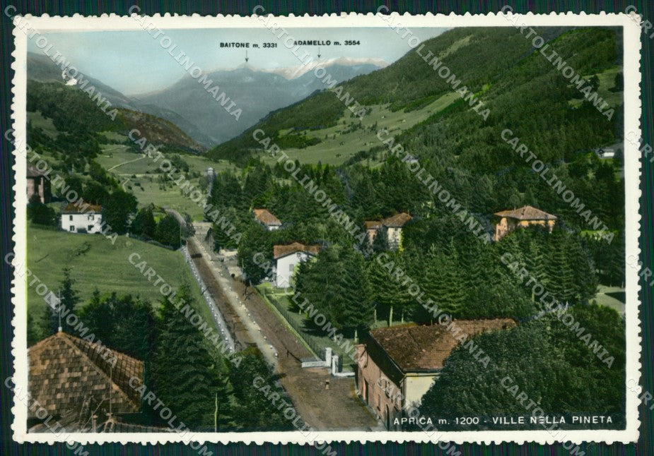 Sondrio Aprica ABRASA Foto FG cartolina ZK6513 – fronte