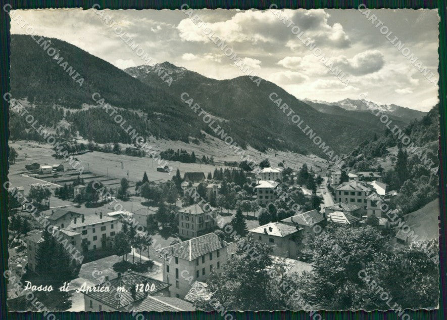 Sondrio Aprica Passo di Foto FG cartolina ZK6515 – fronte