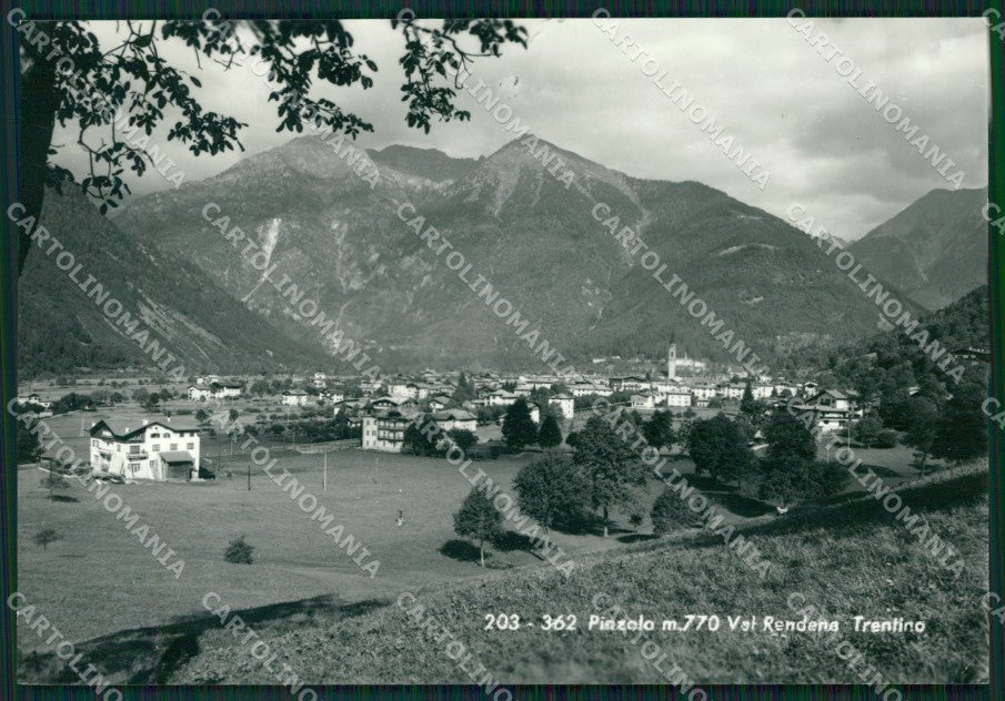 Trento Pinzolo Foto FG cartolina ZK6593 – fronte
