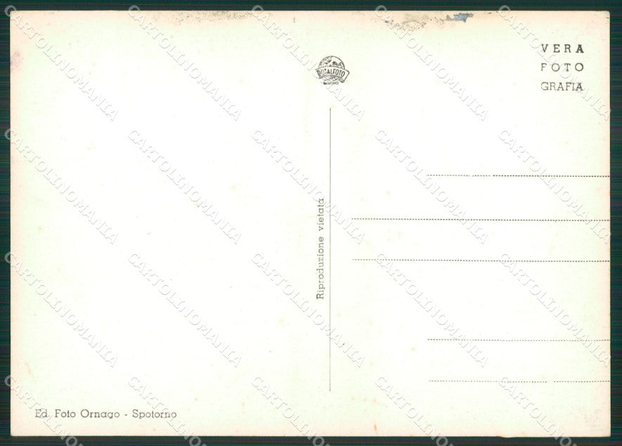 Savona Spotorno Foto FG cartolina ZK6604 – retro