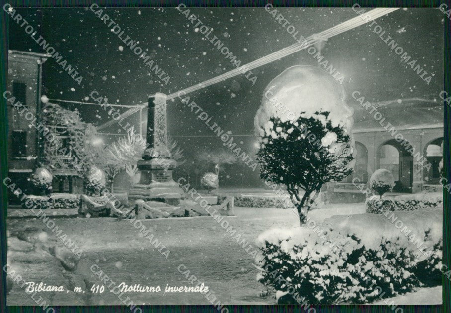 Torino Bibiana Nevicata Foto FG cartolina ZK6605 – fronte
