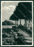 Napoli Ischia Foto FG cartolina ZK6623 – fronte