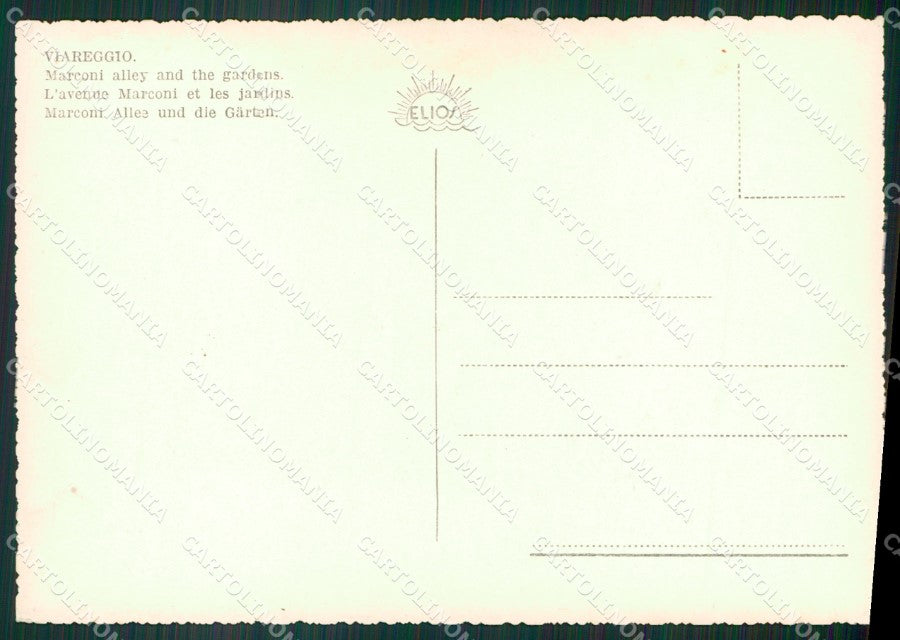 Lucca Viareggio Foto FG cartolina ZK6649 – retro