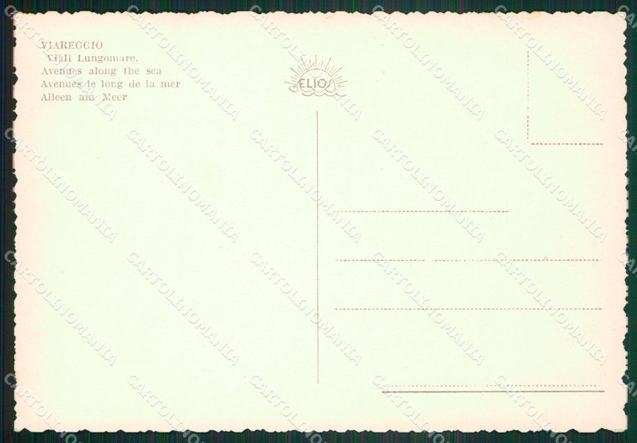 Lucca Viareggio Foto FG cartolina ZK6651 – retro