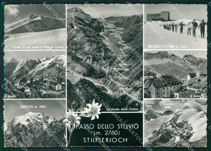 Bolzano Passo dello Stelvio PIEGHINE Foto FG cartolina ZK6673 – fronte