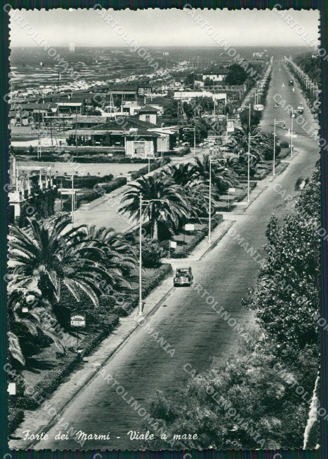 Lucca Forte dei Marmi Foto FG cartolina ZK6680 – fronte