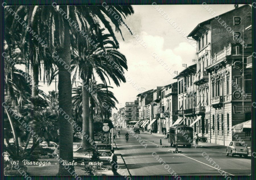 Lucca Viareggio Corriera Foto FG cartolina ZK6719 – fronte