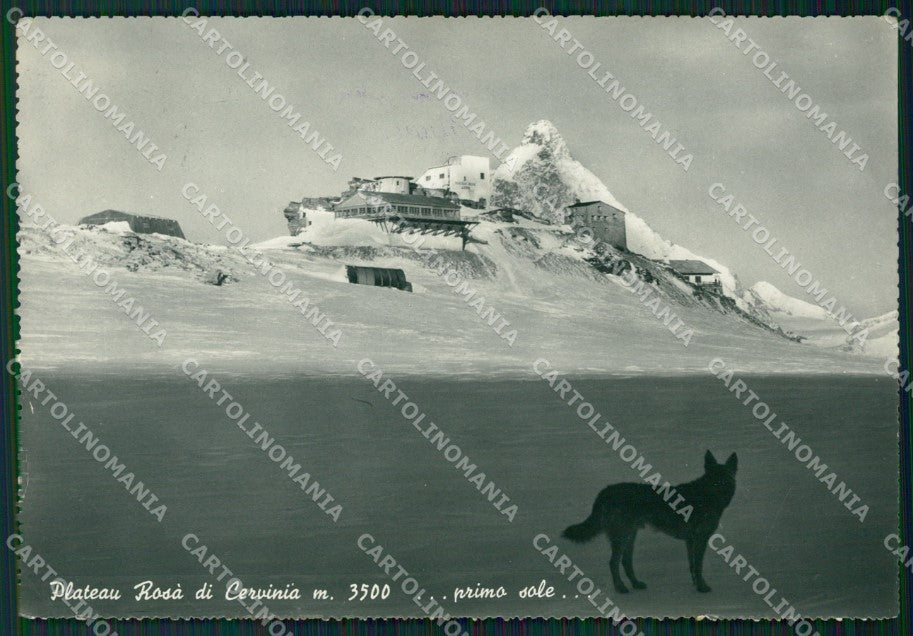 Aosta Valtournenche Cervinia Nevicata Foto FG cartolina ZK6733 – fronte