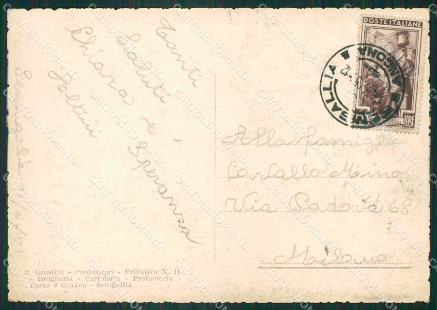 Ancona Senigallia Foto FG cartolina ZK6763 – retro