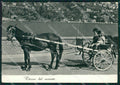 Lecco Città ? Carretto PIEGHINA Foto FG cartolina ZK6769 – fronte
