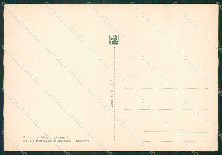 Cuneo Limone Piemonte Nevicata FG cartolina ZK6794 – retro