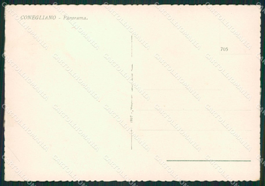 Treviso Conegliano FG cartolina ZKM6903 – retro