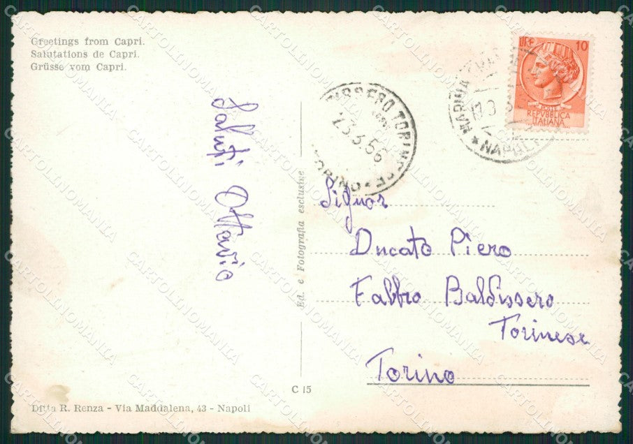 Napoli Capri Saluti da FG cartolina ZKM6911 – retro