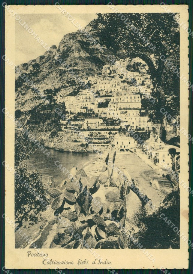 Salerno Positano STRAPPINO FG cartolina ZKM6932 – fronte