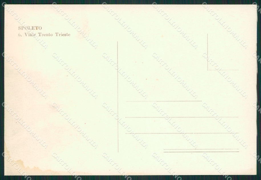 Perugia Spoleto FG cartolina ZKM6954 – retro